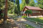 Oferta vanzare casa si teren 1697 mp in Stefanesti, 97000 EURO - 17
