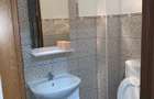 garsoniera de inchiriat Arad - 10