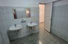 Inchiriere Hala 650mp Drum intre Tarlale - 2