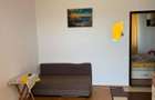Apartament de inchiriat Dambul Rotund - 4