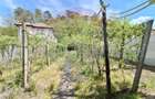 Casa cu panorama superba asupra ora?uluiMedia?, str. Ulmului nr. 13A - 2