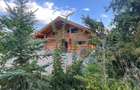 Vila din busteni DE VANZARE Lisnau, 30km de Brasov