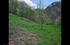 Teren de vis cauta proprietar. - 9