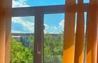 Apartament 4 camere Dr.Tr. Severin - 10