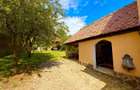 Casa pe un singur nivel+2974mp teren in Aciliu - 2