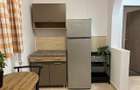 Închiriere Apartament 3 camere langa IOR Pet Friednly Renovat - 11