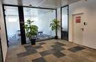 One Herastrau Office (Office 1) - 5