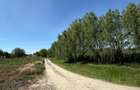 Teren 1.000 Mp | Ileana Calarasi | Dubla Deschidere Stradala | Vedere Lac - 2
