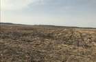 Vand 1,04 Ha Teren Agricol Arad (Santoma) Langa Autostrada A1 - 2