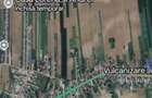Terenuri de vânzare in apropierea bucurestiului  - 2