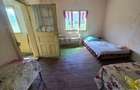 Proprietate in comuna Vedea, teren = 4200 mp - 2