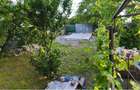 Teren de vanzare 1000 m2, intravilan ,la strada asfaltata cu casuta de vacanta, in Mihail Kogalniceanu , com. Smardan - 3