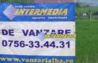 Cabana cu 900mp teren de vanzare Lunca Ampoitei, Alba - 2