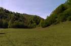 Teren Valea Aleului(pensiune, casa vacanta) 5500 mp - 6