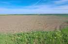 Proprietar - Vand 2 hectare la intrarea in Bencecu de Sus, front la drum asfaltat