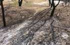 Vand teren intravilan - 3