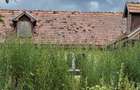 Casa 4 camere Ungheni - 5