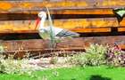 Apartament 2 camere - curte proprie - petfriendly - 8