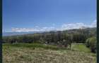 Teren panoramic 5.800 mp, acces la drum, vedere Mun?ii Retezat, Ciula Mare