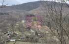 Teren intravilan de vanzare in Valea Doftanei - 7