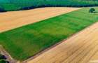 Teren agricol de vanzare- 4,66 Ha - 5