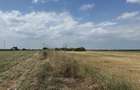 Agentia imobiliara VIGAFON vinde teren intravilan Parc Municipal Vest - 2