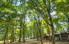 Vânzare teren extravilan pădure+ Pășune 17 000 mp Covasna - 4