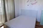 apartament 2 camere de inchiriat Ozana - 8