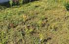 Teren intravilan, Sat Duhovnicesti (Com. Simnicu de Sus) - 5