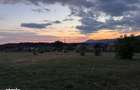 Teren intravilan Baia Sprie, 41 arii, parcelabil, toate utilitatile, - 4