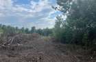 2500m Teren Intravilan Ora?ul Urla?i, Strada Orzoaia de Sus Zona Parc Bellu Acte Perfectate - 10