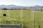 Teren intravilan de vanzare, 7000 mp, DN 17, zona Podirei - 3