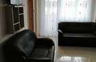 Ultracentral zona Mara chirie 290 E - 1
