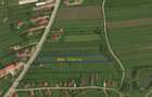 Teren intravilan in suprafata de 7.580 mp | DN65 Albota | Langa OMV - 2