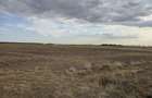 Vand teren agricol Deta Jud Timis