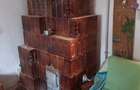 Vand casa cu gradina mare - 7