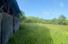 Vand casa locuibila la strada principala - 4