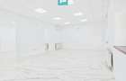Apartament spectaculos ultracentral de închiriat - 1