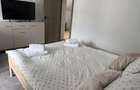 Apartamente noi in vila -regim hotelier - 2