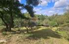 Casa individuala | 4 camere | Teren 4840 mp | Sohodol | Bran - 2