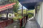 Proprietate cu Doua Case - 6