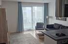 REA1024493 One Herastrau Plaza l 2 Camere l Parc - 11