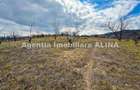 10 parcele de Teren intravilan in Deva, zona Calugareni, Strada Prunilor, Jud. Hd, cu PUZ, PUD, etc. - 4