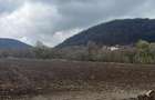 6700 MP TEREN ALBESTI- SIGHISOARA - 1