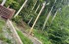 Teren de vanzare CUMPATU Sinaia