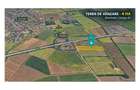Teren 4 ha DJ 691 Giarmata | Langa A1 - 3