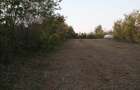 Teren Oază de liniște pt casa de vacanță sau pensiune - 6