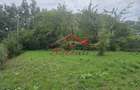 Casa de vanzare Breaza- teren 2549 mp - 7