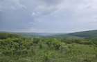 Vand teren Intravilan Padureni, Com. Chinteni , 2900 mp - 7