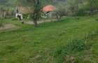 Casa Valisoara la pretul corect. - 10
